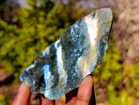 Polished On One Side Labradorite x 6 From Madagascar - Toprock Gemstones and Minerals