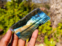 Polished On One Side Labradorite x 6 From Madagascar - Toprock Gemstones and Minerals