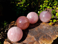 Polished Star Rose Quartz Spheres x 4 From Madagascar - Toprock Gemstones and Minerals