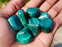 Polished Flower Malachite Free Forms x 70 From Congo - Toprock Gemstones and Minerals