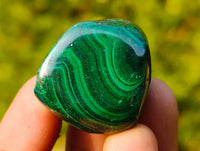 Polished Flower Malachite Free Forms x 70 From Congo - Toprock Gemstones and Minerals