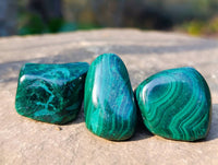 Polished Flower Malachite Free Forms x 70 From Congo - Toprock Gemstones and Minerals
