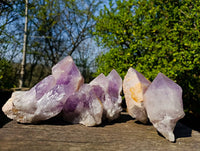 Natural Jacaranda Amethyst Clusters x 6 From Zambia - Toprock Gemstones and Minerals