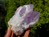Natural Jacaranda Amethyst Clusters x 6 From Zambia - Toprock Gemstones and Minerals