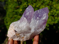 Natural Jacaranda Amethyst Clusters x 6 From Zambia - Toprock Gemstones and Minerals