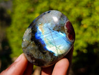 Polished Labradorite Palm Stones x 12 From Tulear, Madagascar - Toprock Gemstones and Minerals