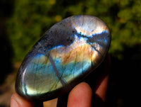 Polished Labradorite Palm Stones x 12 From Tulear, Madagascar - Toprock Gemstones and Minerals