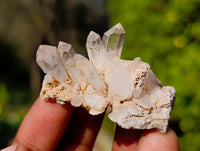 Natural Mixed Quartz Crystal Specimens x 64 From Brandberg, Namibia - Toprock Gemstones and Minerals