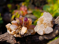 Natural Mixed Quartz Crystal Specimens x 64 From Brandberg, Namibia - Toprock Gemstones and Minerals