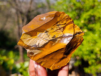 Natural Selected Nguni Jasper Cobbed Specimens x 12 From Prieska, South Africa - Toprock Gemstones and Minerals