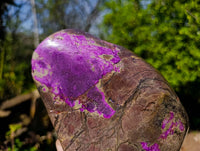 Polished Stichtite Free Form x 1 From Barberton, South Africa - Toprock Gemstones and Minerals