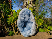 Natural Celestite Geode Specimen x 1 From Sakoany, Madagascar - Toprock Gemstones and Minerals