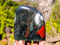 Polished Bloodstone Standing Free Forms x 3 From Swaziland - Toprock Gemstones and Minerals