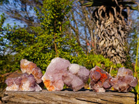 Natural Amethyst Spirit Quartz Clusters x 6 From South Africa - Toprock Gemstones and Minerals