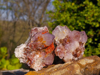 Natural Amethyst Spirit Quartz Clusters x 6 From South Africa - Toprock Gemstones and Minerals