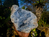 Natural Celestite Specimen x 1 From Sakoany, Madagascar - Toprock Gemstones and Minerals