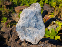 Natural Celestite Specimen x 1 From Sakoany, Madagascar - Toprock Gemstones and Minerals