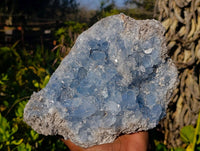 Natural Celestite Specimen x 1 From Sakoany, Madagascar - Toprock Gemstones and Minerals