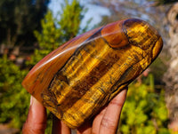Polished Tigers Eye Standing Free Forms x 3 From South Africa - Toprock Gemstones and Minerals