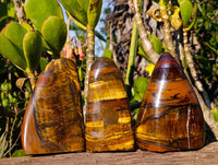 Polished Tigers Eye Standing Free Forms x 3 From South Africa - Toprock Gemstones and Minerals