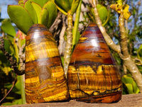 Polished Tigers Eye Standing Free Forms x 3 From South Africa - Toprock Gemstones and Minerals
