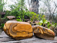 Polished Picture Stone Jasper Standing Free Forms x 2 From Ais-Ais, Namibia - Toprock Gemstones and Minerals
