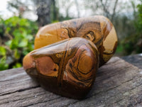 Polished Picture Stone Jasper Standing Free Forms x 2 From Ais-Ais, Namibia - Toprock Gemstones and Minerals