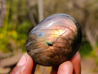 Polished Labradorite Palm Stones x 20 From Tulear, Madagascar - Toprock Gemstones and Minerals