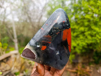 Polished Bloodstone Standing Free Forms x 2 From Swaziland - Toprock Gemstones and Minerals