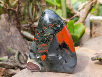 Polished Bloodstone Standing Free Forms x 2 From Swaziland - Toprock Gemstones and Minerals