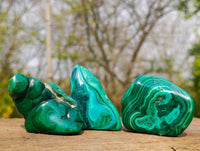 Polished Flower Banded Malachite Free Forms x 12 From Congo - Toprock Gemstones and Minerals