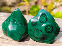 Polished Flower Banded Malachite Free Forms x 12 From Congo - Toprock Gemstones and Minerals