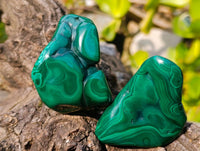 Polished Flower Banded Malachite Free Forms x 12 From Congo - Toprock Gemstones and Minerals