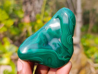 Polished Flower Banded Malachite Free Forms x 12 From Congo - Toprock Gemstones and Minerals