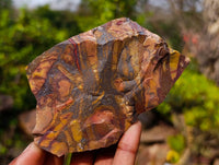 Natural Selected Nguni Jasper Cobbed Specimens x 12 From Prieska, South Africa - Toprock Gemstones and Minerals