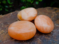 Polished Orange Twist Calcite Palm Stones x 24 From Madagascar - Toprock Gemstones and Minerals