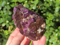 Natural Metallic Purpurite Cobbed Specimens x 6 From Erongo, Namibia - Toprock Gemstones and Minerals