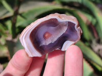 Polished On One Side Red Sashe River Agate Nodules x 20 From Zimbabwe - Toprock Gemstones and Minerals