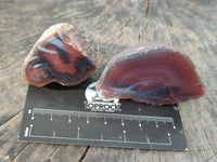 Polished On One Side Red Sashe River Agate Nodules x 20 From Zimbabwe - Toprock Gemstones and Minerals