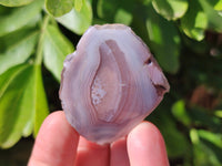 Polished On One Side Red Sashe River Agate Nodules x 20 From Zimbabwe - Toprock Gemstones and Minerals