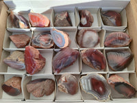 Polished On One Side Red Sashe River Agate Nodules x 20 From Zimbabwe - Toprock Gemstones and Minerals