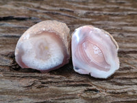 Polished On One Side Red Sashe River Agate Nodules x 20 From Zimbabwe - Toprock Gemstones and Minerals