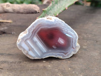 Polished On One Side Red Sashe River Agate Nodules x 20 From Zimbabwe - Toprock Gemstones and Minerals