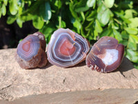 Polished On One Side Red Sashe River Agate Nodules x 20 From Zimbabwe - Toprock Gemstones and Minerals