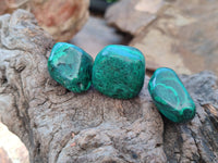 Polished Flower Banded Malachite Free Forms x 70 From Congo - Toprock Gemstones and Minerals