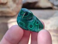 Polished Flower Banded Malachite Free Forms x 70 From Congo - Toprock Gemstones and Minerals