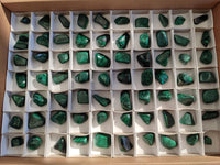 Polished Flower Banded Malachite Free Forms x 70 From Congo - Toprock Gemstones and Minerals