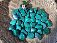 Polished Flower Banded Malachite Free Forms x 70 From Congo - Toprock Gemstones and Minerals