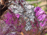 Natural Metallic Purpurite Specimens x 6 From Erongo, Namibia - Toprock Gemstones and Minerals