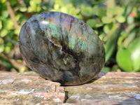 Polished Labradorite Palm Stones x 12 From Tulear, Madagascar - Toprock Gemstones and Minerals